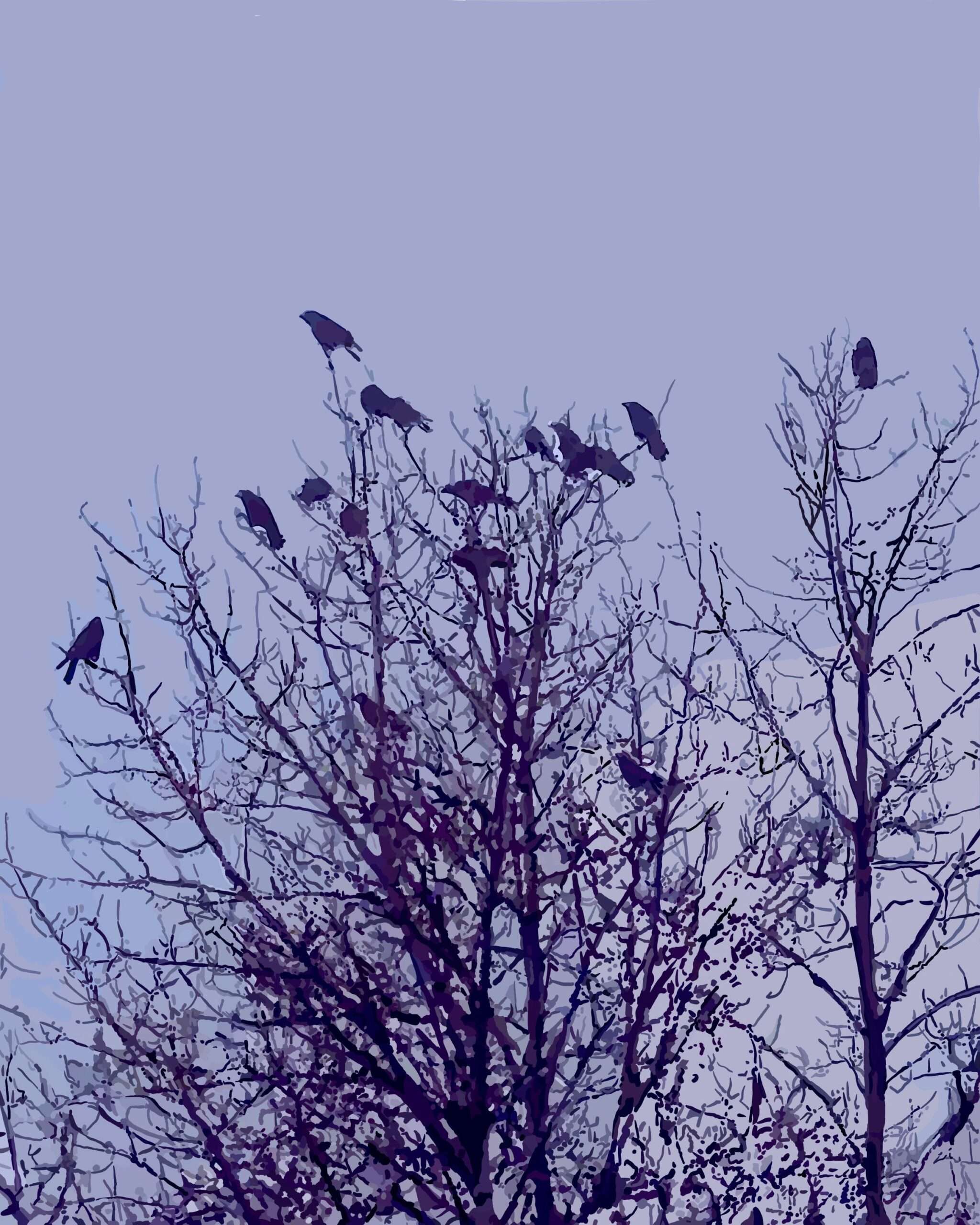 A Murder in the Oak